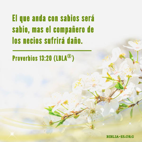 leepreo's tweet photo. Versículo de la Biblia
https://t.co/pzYwvo2oM2
“El que anda con sabios será sabio, mas el compañero de los necios sufrirá daño”(Proverbios 13:20). https://t.co/2AHrwdTr11