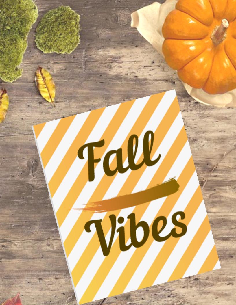 knpinspired tweet media