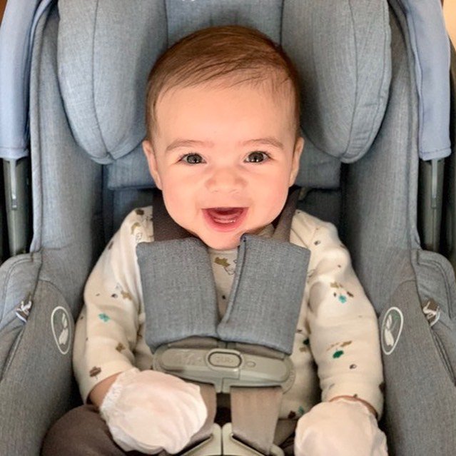 Vega Factor tweet media