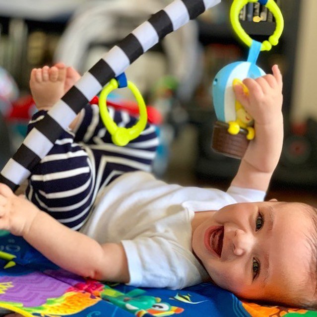 Vega Factor tweet media