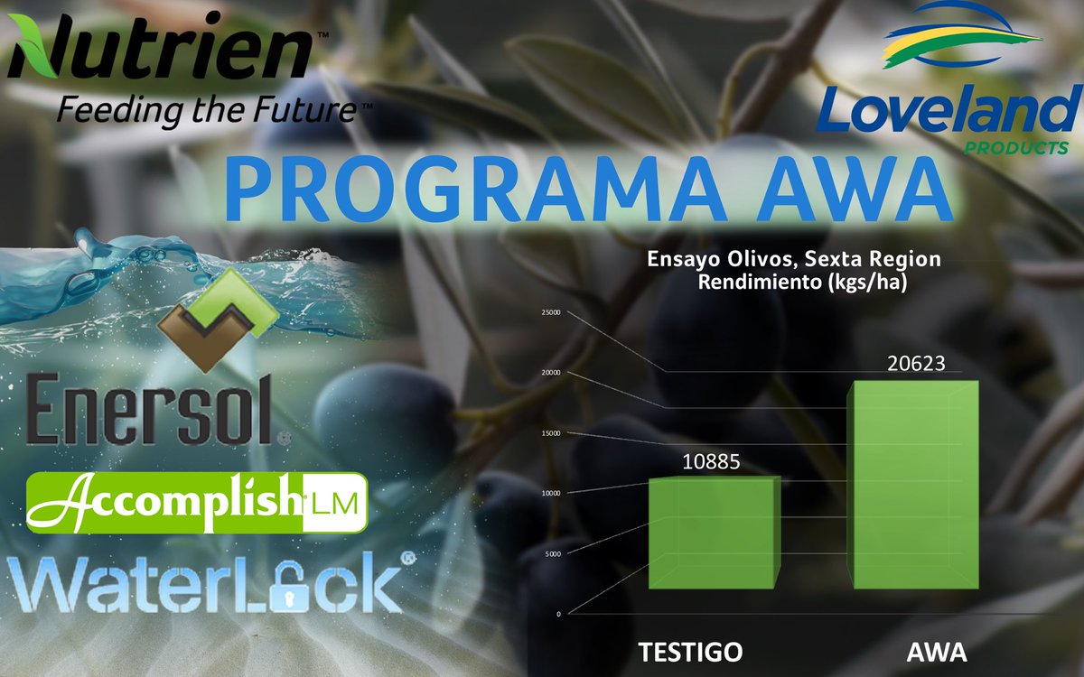 Nutrien_CL's tweet photo. Programa AWA 💧, tecnología probada en Chile 🇨🇱 y el mundo 🌎 en distintos cultivos con excelentes resultados en aumentos de rendimiento. Consulta en nuestras sucursales por el programa AWA y ensayos locales.

#nutrien  #awa #programaawa #enersol #waterlock#accomplish https://t.co/tM4knjO712