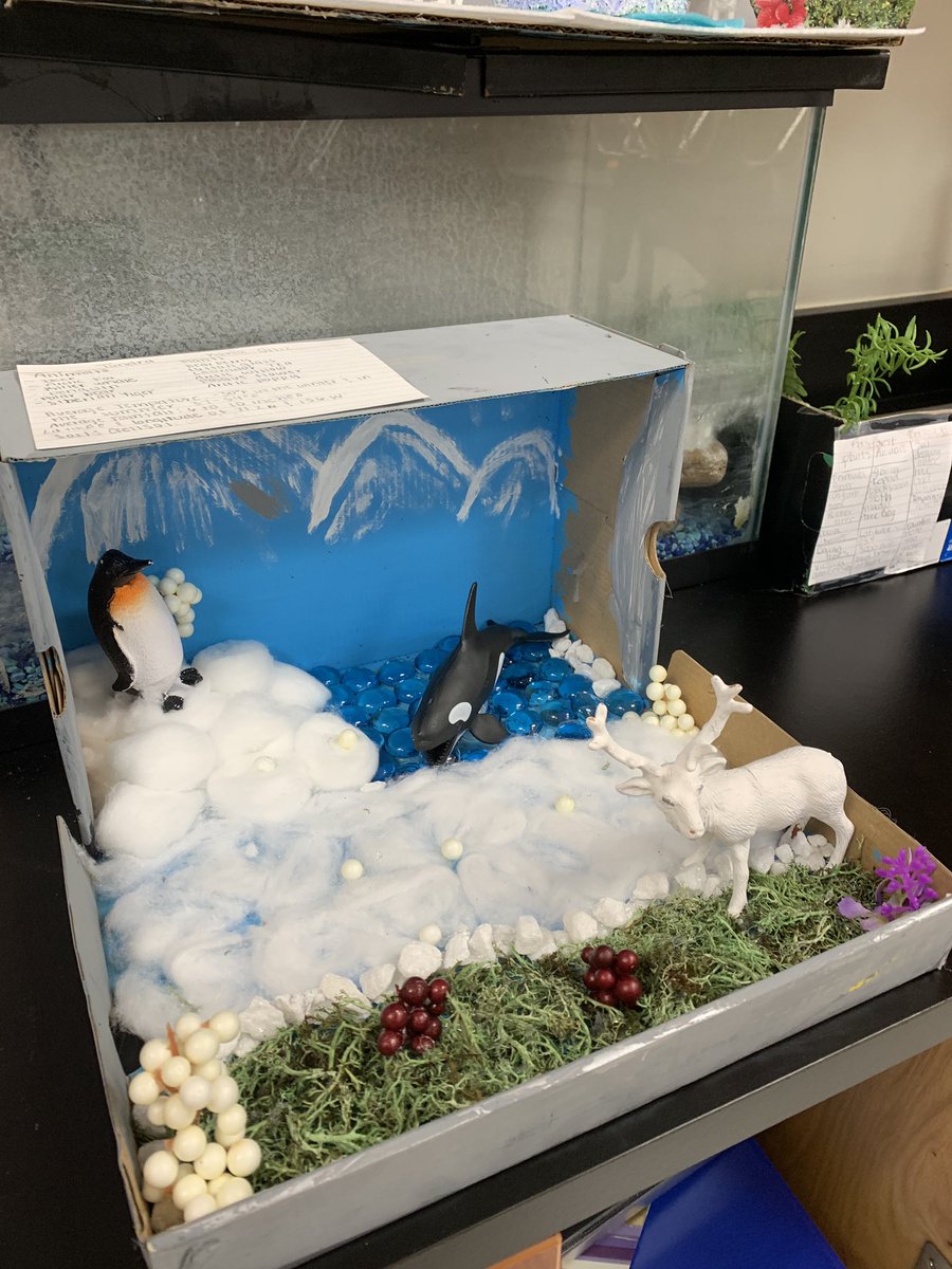 AJHScience's tweet image. Ms. McMeans and Coach Edwards 7th grade Biome projects!
#scienceisaverbinalvinisd @aadamealvinisd1 @alvin_jh @AlvinISD_SCI