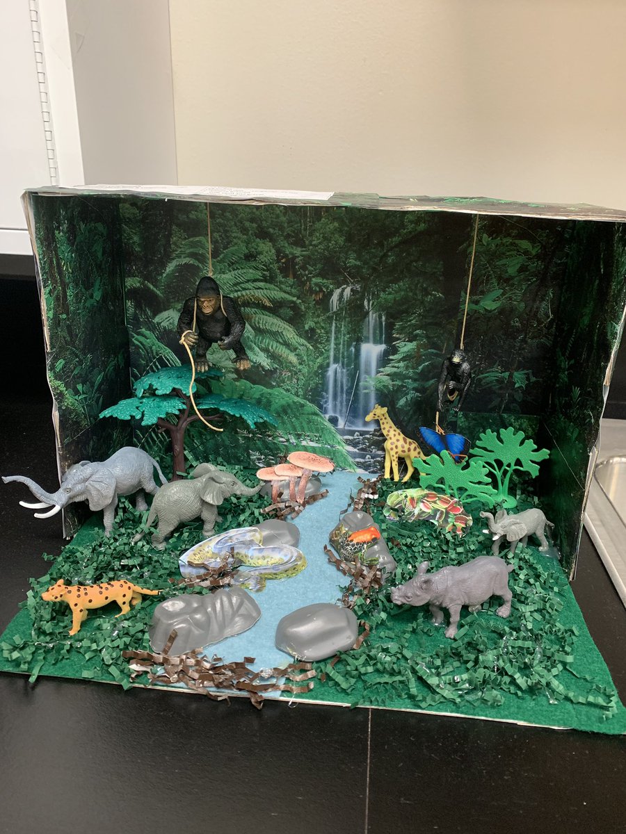 AJHScience's tweet image. Ms. McMeans and Coach Edwards 7th grade Biome projects!
#scienceisaverbinalvinisd @aadamealvinisd1 @alvin_jh @AlvinISD_SCI