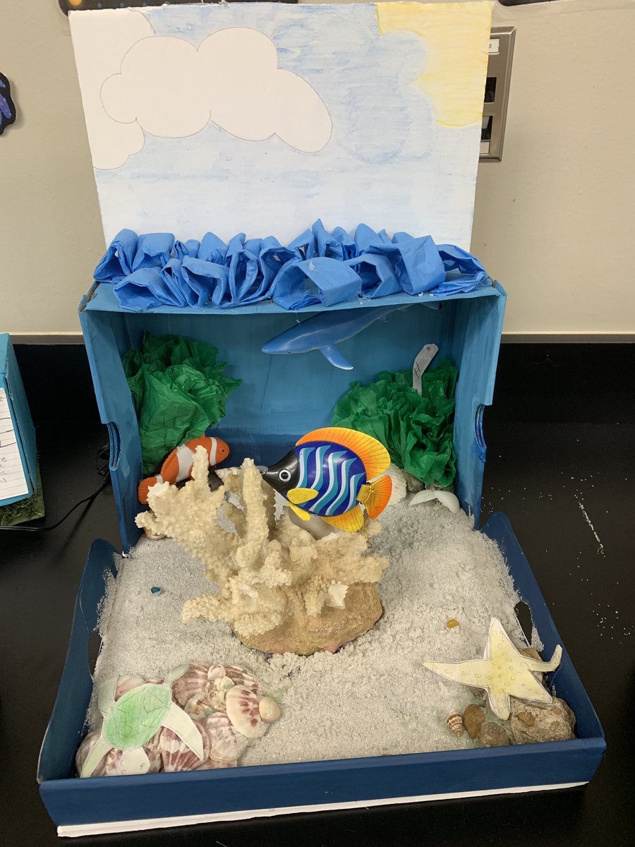 AJHScience's tweet image. Ms. McMeans and Coach Edwards 7th grade Biome projects!
#scienceisaverbinalvinisd @aadamealvinisd1 @alvin_jh @AlvinISD_SCI