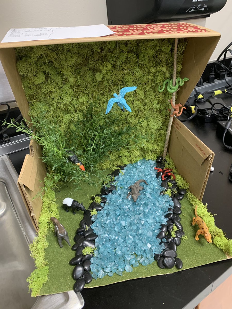 AJHScience's tweet image. Ms. McMeans and Coach Edwards 7th grade Biome projects!
#scienceisaverbinalvinisd @aadamealvinisd1 @alvin_jh @AlvinISD_SCI
