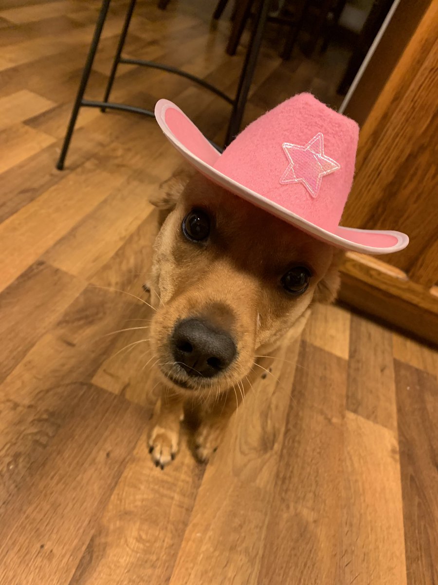 stinamillion's tweet photo. HOWDY!!!!! 🤠 https://t.co/iRXc5JawKT