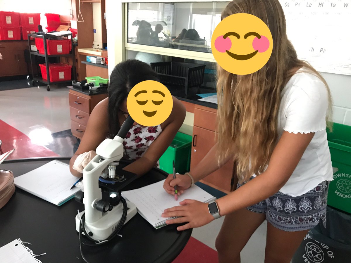 HeckelScience's tweet image. 8C students work together to practice their #microscope and wet-mount slide making skills. Tomorrow - paramecia! @TeachVerona @HBW_Verona #iteachscience