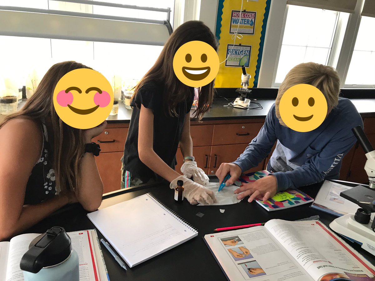 HeckelScience's tweet image. 8C students work together to practice their #microscope and wet-mount slide making skills. Tomorrow - paramecia! @TeachVerona @HBW_Verona #iteachscience