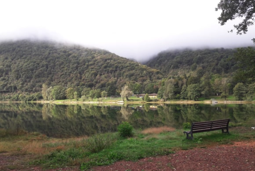 LuinoNotizie's tweet photo. Un #buongiorno a tutti voi con questa foto di #AngelaCattel, che ha immortalato l'#autunno in tutto il suo splendore sul lago di #Ghirla https://t.co/wwAD11vvsd https://t.co/Olae0kXtxo