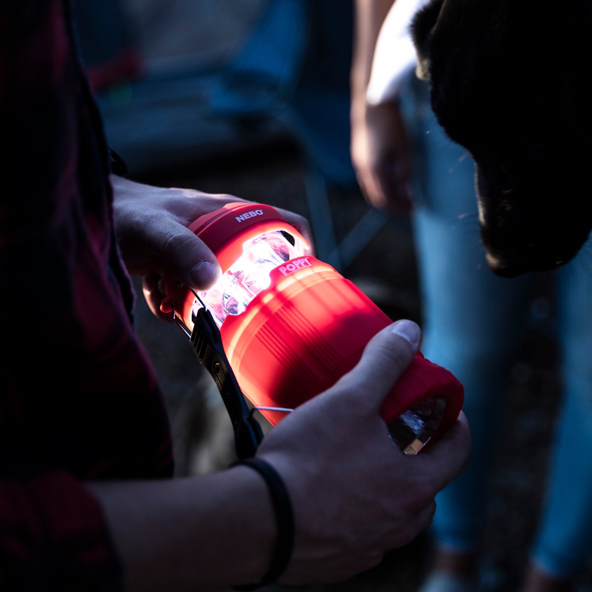 It's #Fall y'all! Planning any #camping trips soon? Make sure to bring your bright Poppy #lantern and spot light to light up your campground!

Get free shipping on all camo products and more at the link below⬇
nebotools.com/c/It%5C%27s-Ca…

#travel #outdoors
