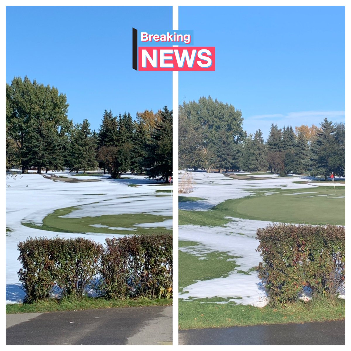 Heatherglengolf's tweet photo. The 📞 is beginning to heat up, along with the ☀️ so be sure to book your ⛳️ times for the weekend before they are gone! #fallgolfyyc #golfyyc #yourhomecourse https://t.co/BOFez6qfUS