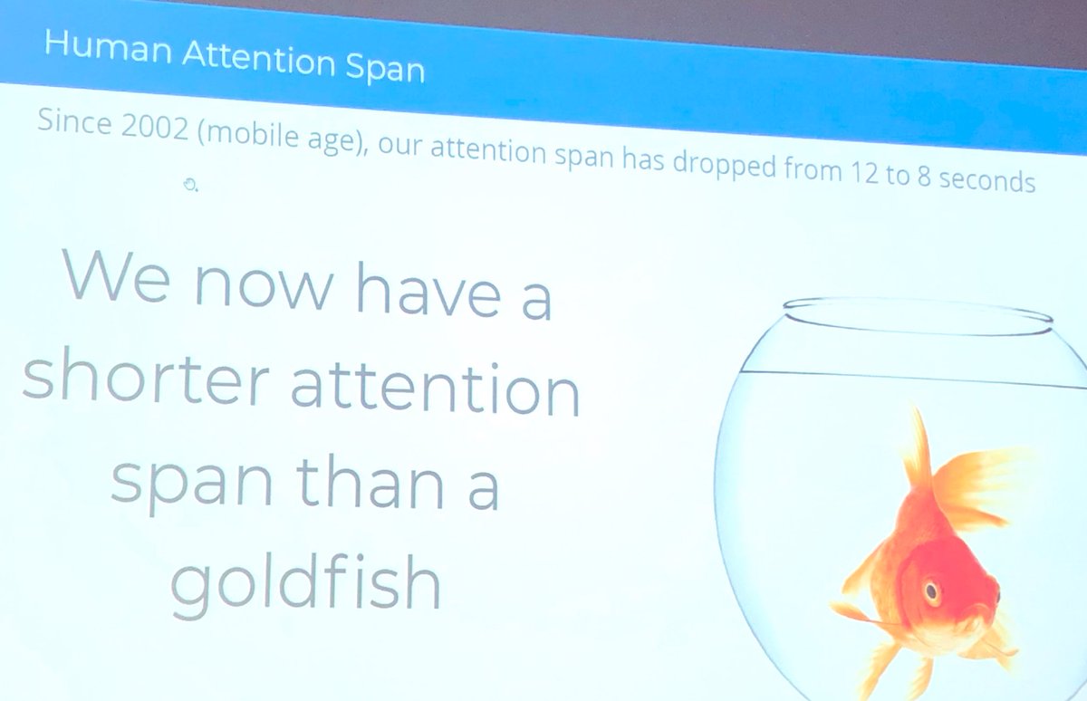 kati_pai's tweet photo. Breaking news, we now have a shorter attention span than a goldfish 😳 We’re living in the age of distraction. Importance of #mindfulness #bendingtime @callaghannz @JustinMilano33 https://t.co/a06ujiHrbk