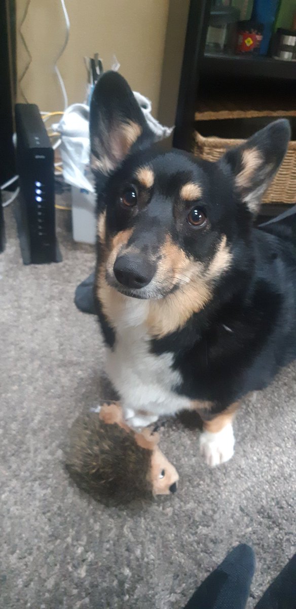 PatrickRutt's tweet image. 