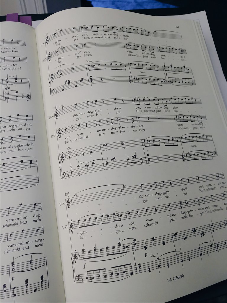 CRsoprano's tweet image. RIP larynx #practicetweets #roleprep