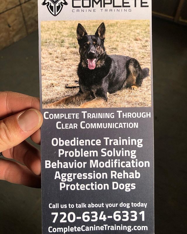 Need some help with your pup?! Here are the standard programs we offer for obedience and problem solving! Give us a call and we’ll get your pup enrolled into one of the best dog programs in Denver! #denverdogtraining #dogtrainer #germanshepherd… dlvr.it/RFNbcC