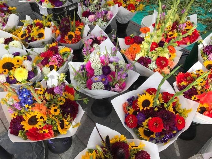 MountVernonLife's tweet photo. https://t.co/bDB2yuQiJ6
Whether you’re looking for produce, local cheese, body care products, fresh flowers, or anything in between, this guide to Skagit County farmers markets can help you plan accordingly. https://t.co/v10mwpNgb2