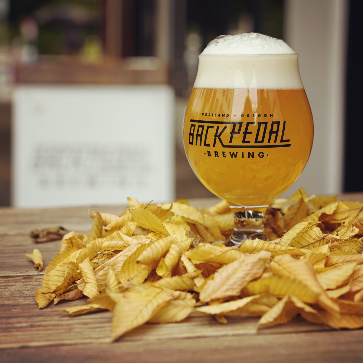 🍻🦉🦅🦢🕊🍁🍂🍻 Flockahops is back baby!!. Hazy IPA with Mosaic and Citra. Our hazy is less sweet than most, perfect for a crispy fall day.