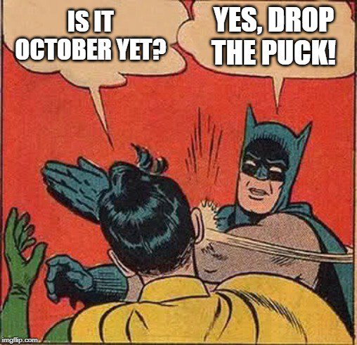 DJ_EddieL's tweet image. It's hockey season!! #coolestgameonearth #NHL