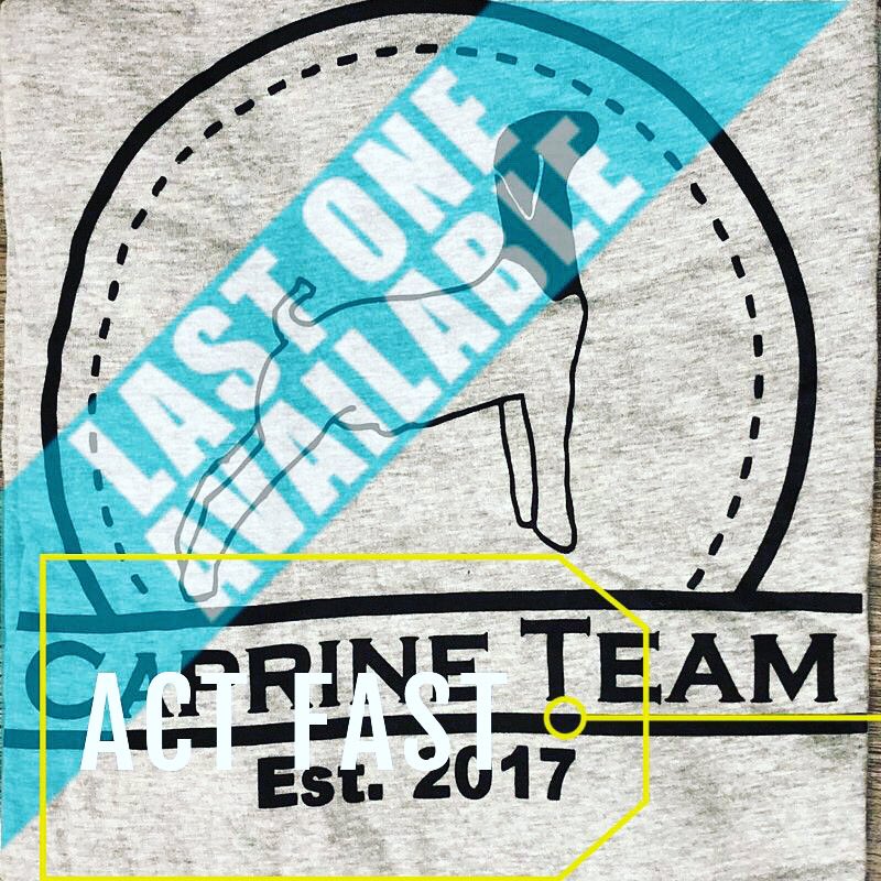 CaprineTeam's tweet photo. ‼️LAST MEDIUM‼️ 
We only have ONE medium shirt left in our ENTIRE inventory. It comes in the light grey color. We will NOT be ordering more so get it while you still can. Other sizes/colors are running low too so you better ACT FAST https://t.co/Kgji4CMtPo