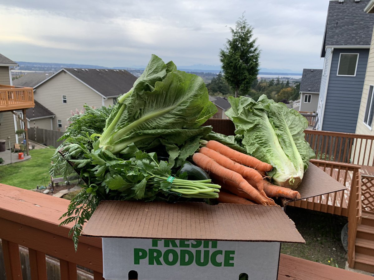 Rex Miller tweet media