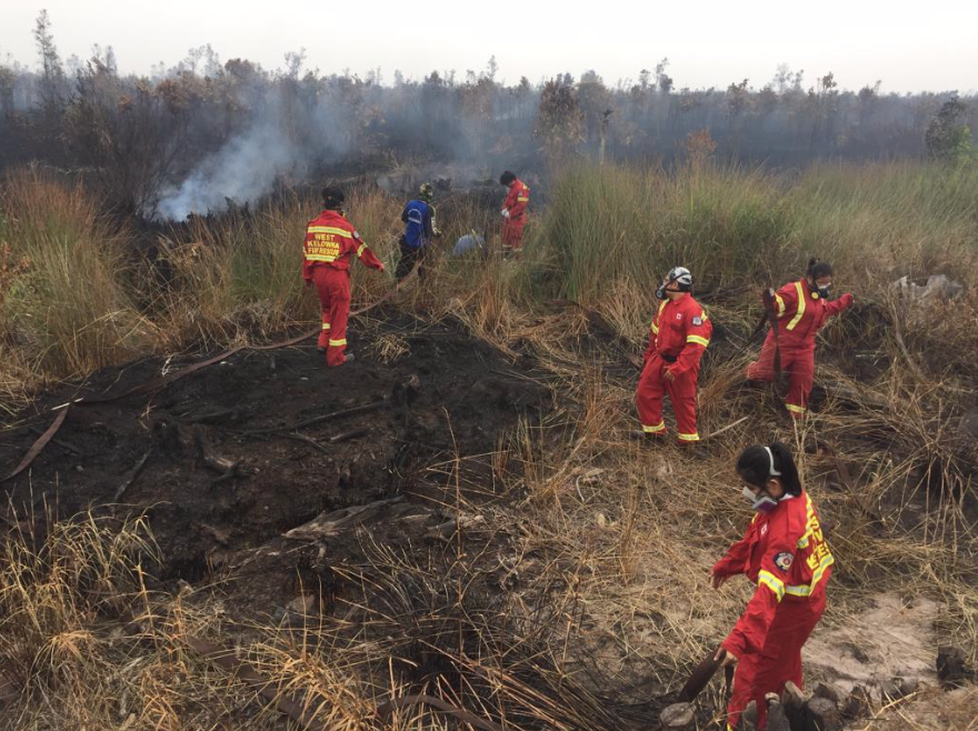 ranuwelum_org's tweet photo. We got a brand new codename for our @youthact_ youth firefighter squad: "KATUYUNG" TEAM. #Katuyung is a kind of snail that you can find in paddy fields in Kalimantan. Alone it is weak, but if they are together they can be STRONG. #INDONESIAFORESTFIRECRISIS #ACT2GIVE #VOLUNTEERS https://t.co/WeGTUmvyNe
