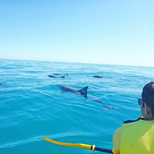 epicOadventures's tweet photo. Join us for a magical day of adventure in the wild. We offer aquatic 4x4 adventure tours to Double Island Point, departing #Noosa #rainbowbeach https://t.co/g2HgYhMa2C https://t.co/EuiT0ppAKK