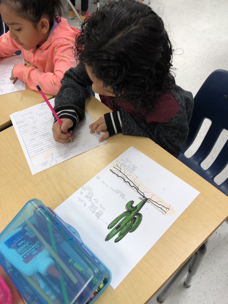 tice3rd's tweet image. Third graders are writing about how a cactus adapts to its environment.  #onesmallstep #secondtonone #writingforsuccess