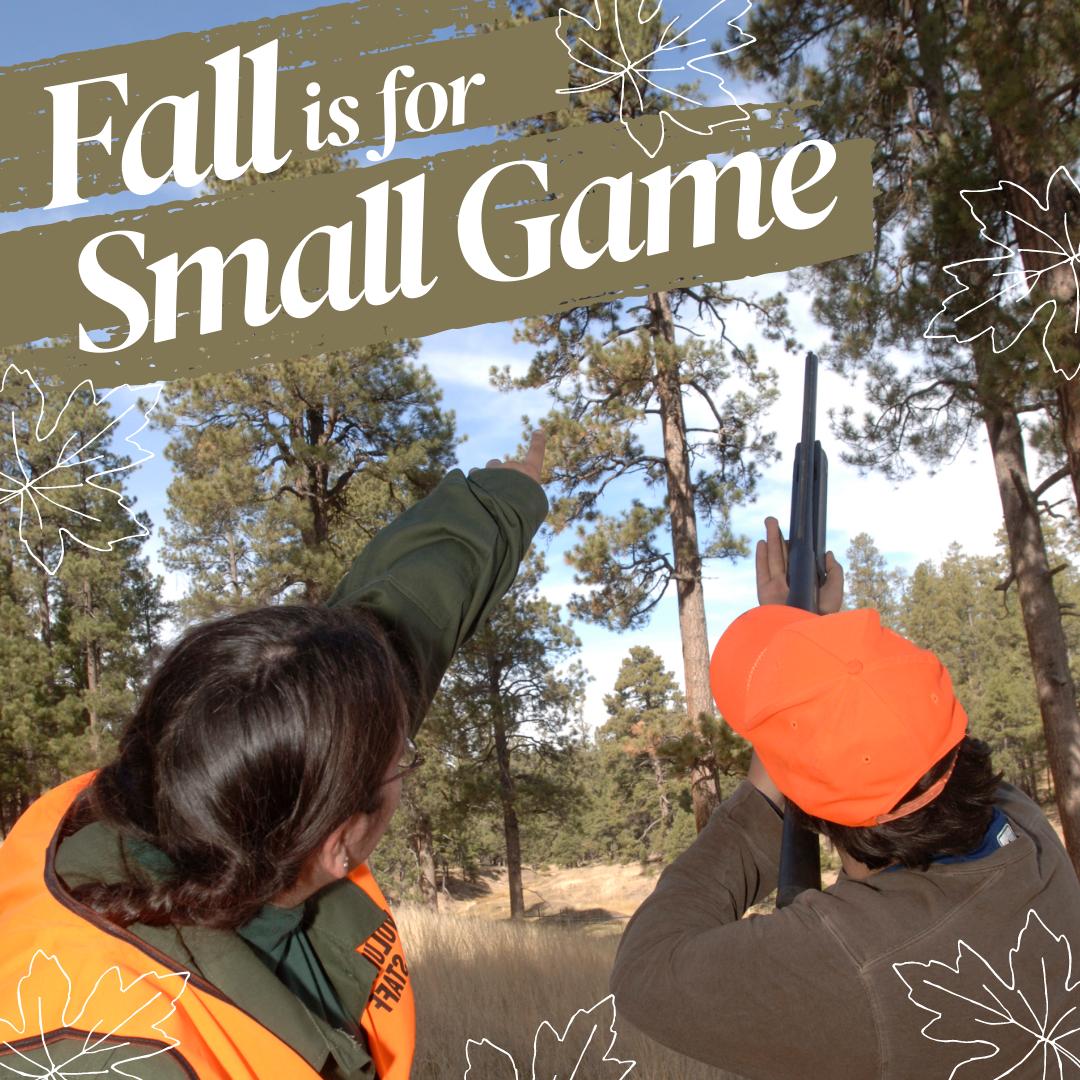 Arizona Game & Fish tweet media