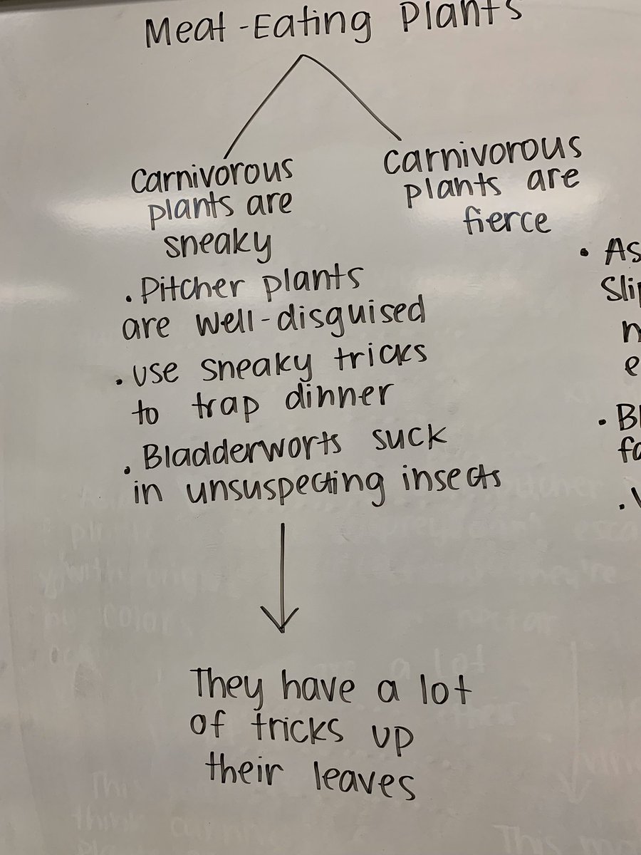 Emily Weidner tweet media