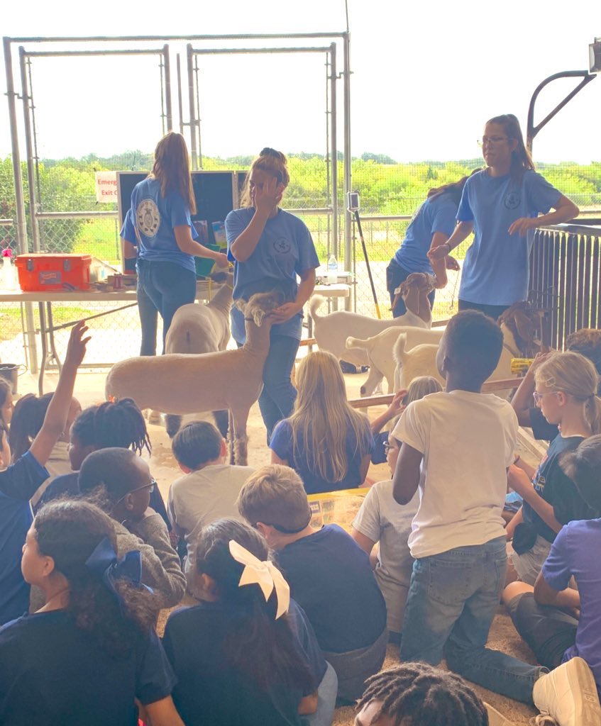 Laura Rodriguez (@lrod0806) on Twitter photo Agriculture fair today at O’Connor high school. Great day filled with so many authentic learning opportunities and adventures!!! <a href="/NISDFranklinES/">Kay Franklin ES</a> <a href="/NISDElemSS/">NISD Elementary SS</a> #socialstudiesmatters #rodriguezrockstars #kfeproud #AgFairNISD <a href="/NISDOConnorHS/">O'Connor High School</a> #gopublic Agriculture fair today at O’Connor high school. Great day filled with so many authentic learning opportunities and adventures!!! <a href="/NISDFranklinES/">Kay Franklin ES</a> <a href="/NISDElemSS/">NISD Elementary SS</a> #socialstudiesmatters #rodriguezrockstars #kfeproud #AgFairNISD <a href="/NISDOConnorHS/">O'Connor High School</a> #gopublic