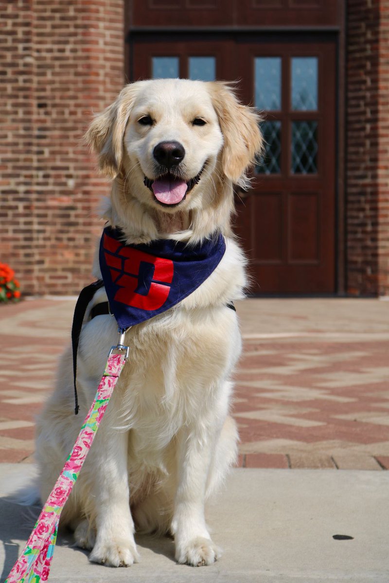 Do you know who the mascots are for each chapter? Let's see your pictures of them!

Zeta Tau Alpha  Kesha
Sigma Kappa   Farley
Chi Omega    Lady Balfour
Theta Phi Alpha  Yasu
Alpha Phi    Bree
Pi Beta Phi    Jag  
Phi Sigma Rho   JK
Kappa Delta    Kebi