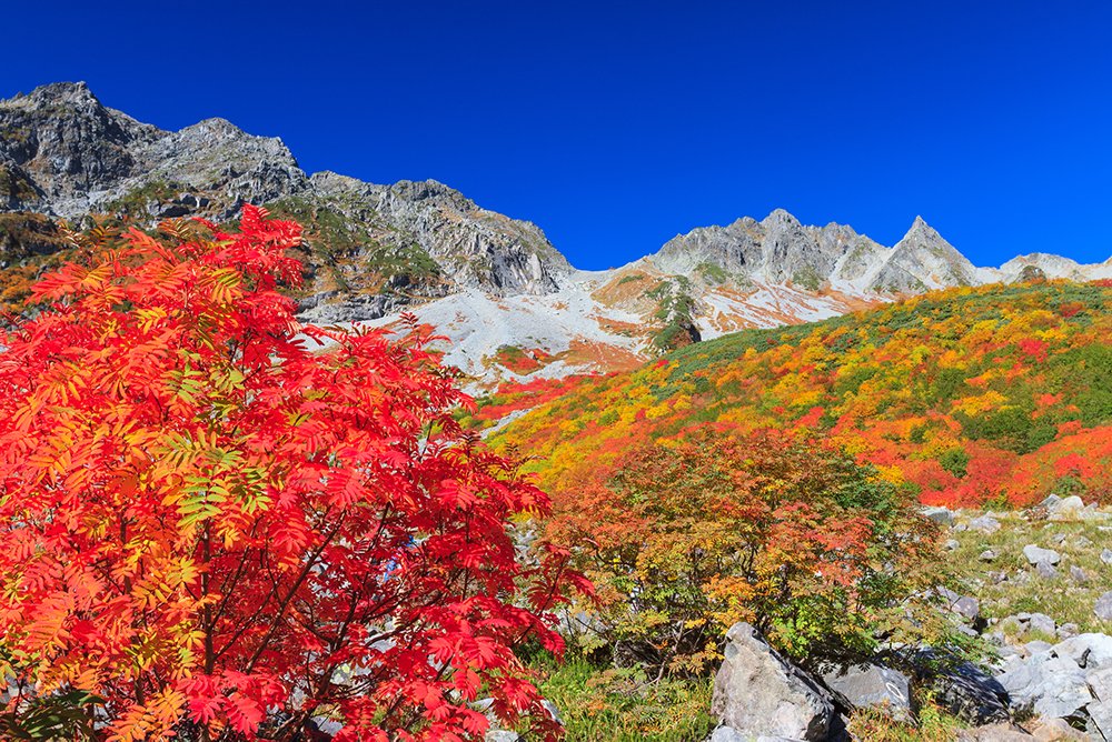 auが登山道の電波を強化！【電波状況を確認できる登山道マップも】
