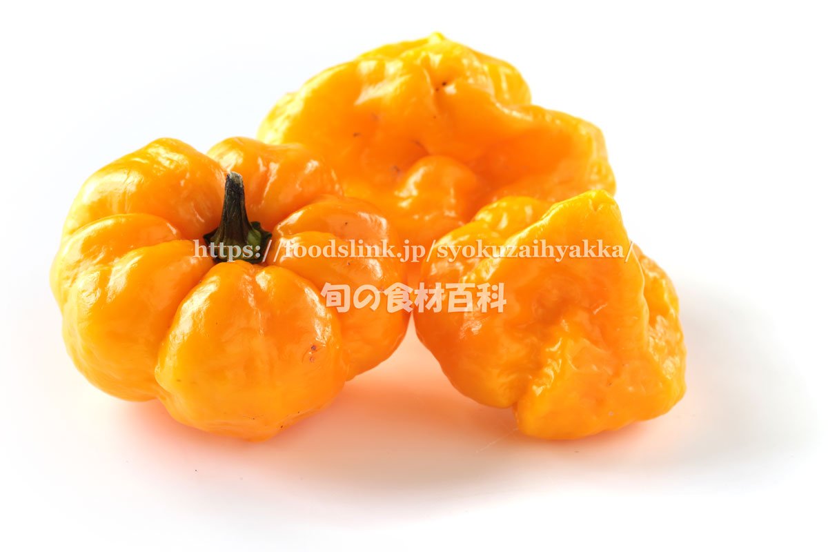 旬の食材百科ーフーズリンク ハバネロ級激辛とうがらしのスコッチ ボンネット T Co Zbxhonqebz そのスコヴィル値は10万 35万shuとハバネロと同等とされ ジャマイカをはじめとするカリブ海周辺で栽培されている唐辛子です フルーティーな香りと