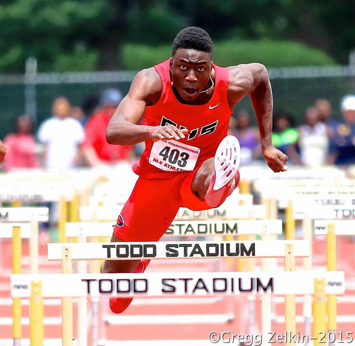 Bruin Nation Photos tweet media