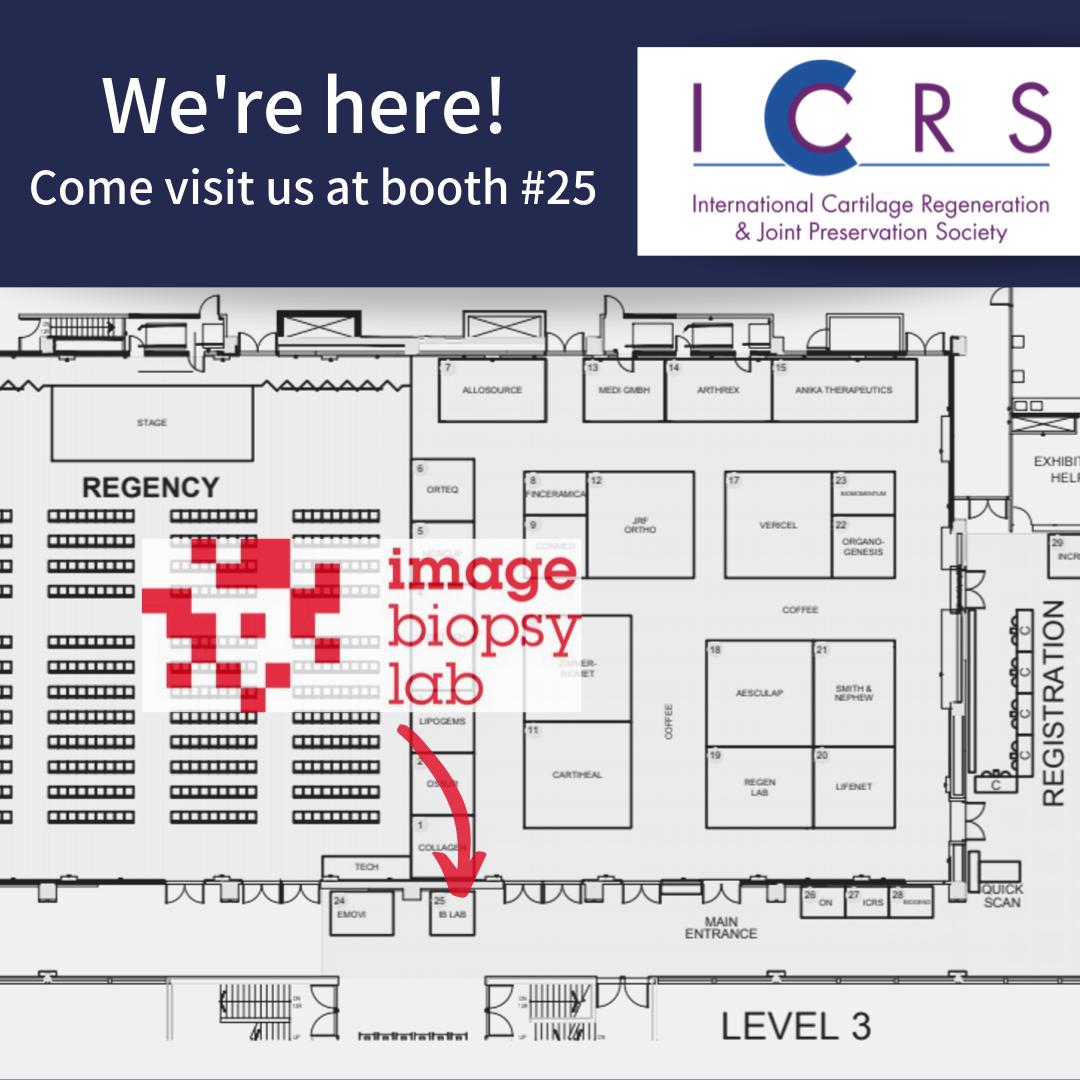 ImageBiopsyLab's tweet photo. ICRS in Vancouver starts on the 5.October 2019
Stop by at booth #25 and WIN a one year KOALA licence (research use, not for sale in the US) - a novel way of assessing knee osteoarthritis with the power of #AI. 
#imagebiopsylab #IBLAB #AI #ICRS #canada #austrianAI https://t.co/xynkkwrhOH