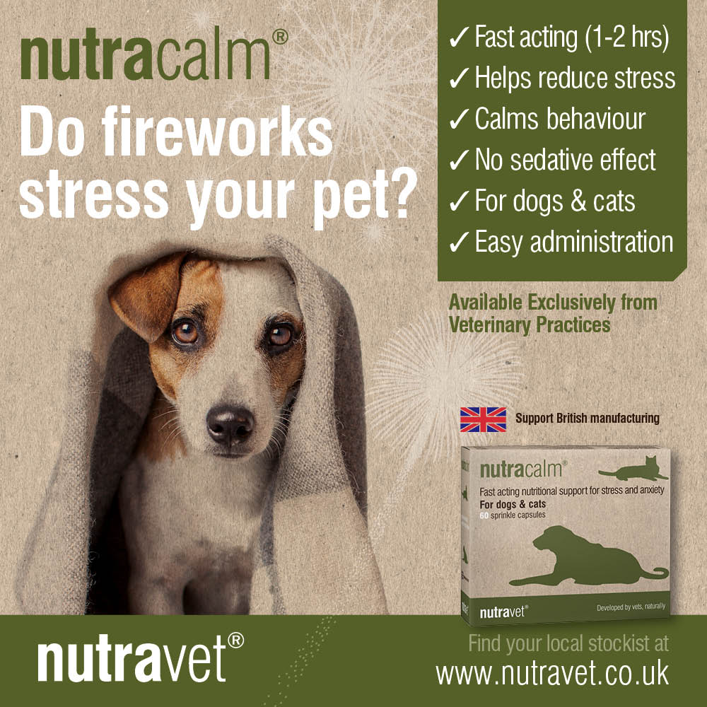 nutravet's tweet photo. With fireworks season around the corner it's never too early to prepare!
#nutracalm is specially formulated to naturally calm anxious pets. Its fast acting nature sees results on average within 1 hour with no sedative effect - https://t.co/FpDjxMfHaj
#naturalanimalhealth https://t.co/NfoEAlykLf