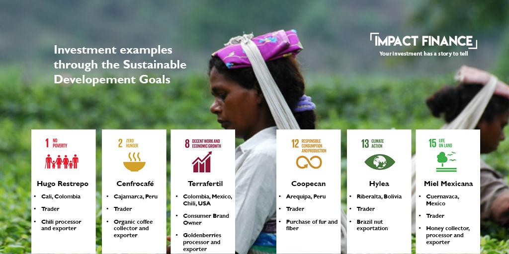 Our #ImpactReport 2019 is out! Discover the contribution of 6 portfolio companies and their value chains to the #SDGs: 
impact-finance.com/useruploads/do…
 
#GIINForum19 #impinv #SDGs