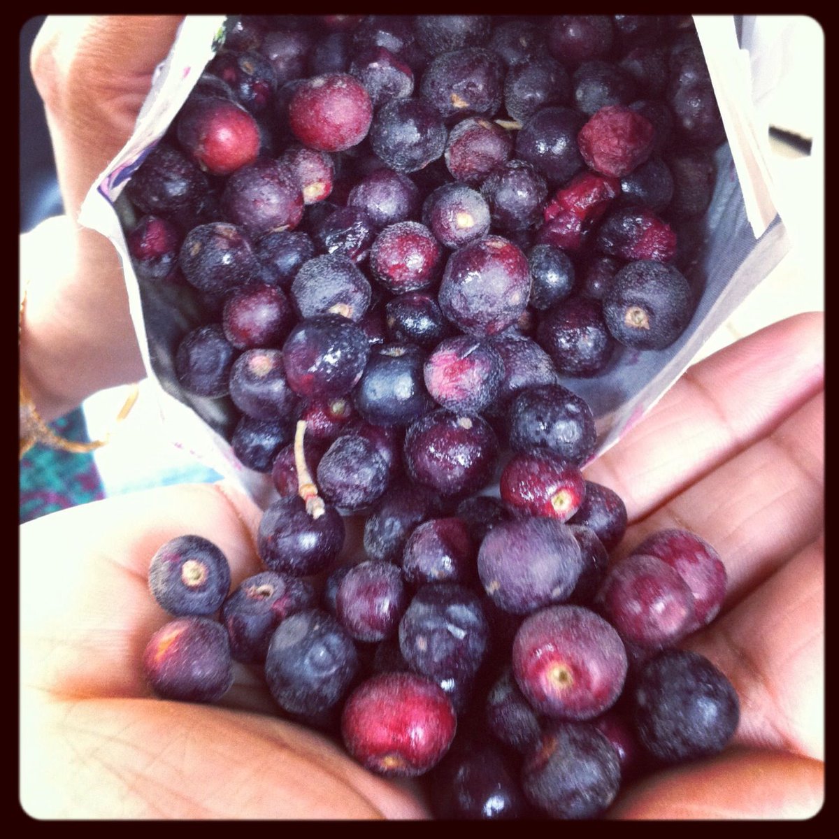 nattfru's tweet photo. Nutritional Facts about Phalsa Juice
Phalsa is a ripe fruit which is soft and delicate in nature and has sweet and sour acidic taste.
It is the best fruit to pick as it is excellent in nutrients.
#nattfru #phalsa #fruit #juice #nutrition #health #water https://t.co/Ddr8tLUYsg