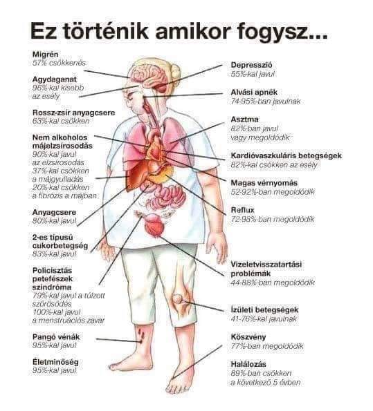 étvágycsökkentő angolul