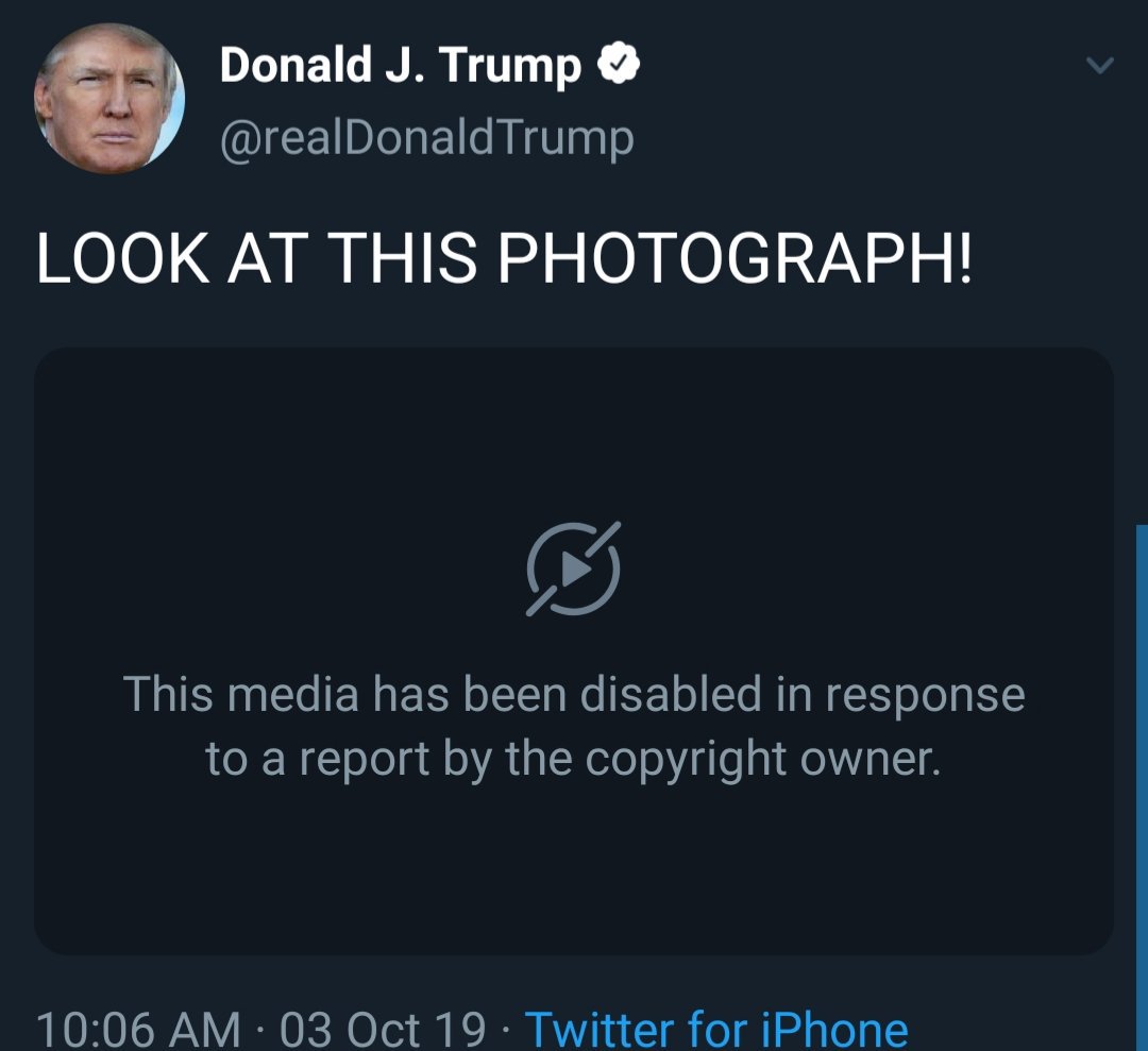 Dolan Dark (@dolandark) on Twitter photo <a href="/realDonaldTrump/">Donald J. Trump</a> Well at least record labels treat everyone equally, not even the president is immune to copyright <a href="/realDonaldTrump/">Donald J. Trump</a> Well at least record labels treat everyone equally, not even the president is immune to copyright