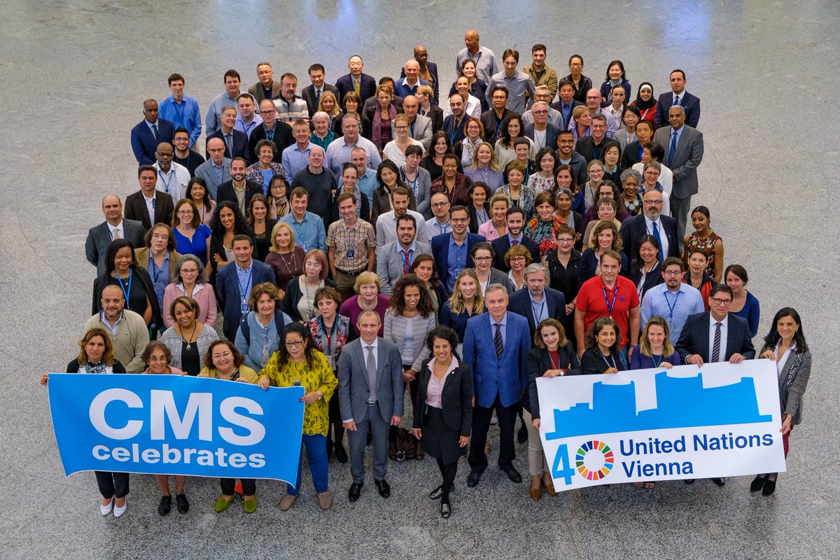 More than 23 million words were translated at #UNVienna in one year - not an easy task as language staff need to be well-versed in different subjects, from #crime, #narcotics, to international trade law, outer #space &amp; industrial #development. More 👉 unvienna.org