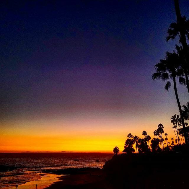LifeLagunaBeach's tweet photo. https://t.co/FQRktXrgVS https://t.co/xJumojGwIb