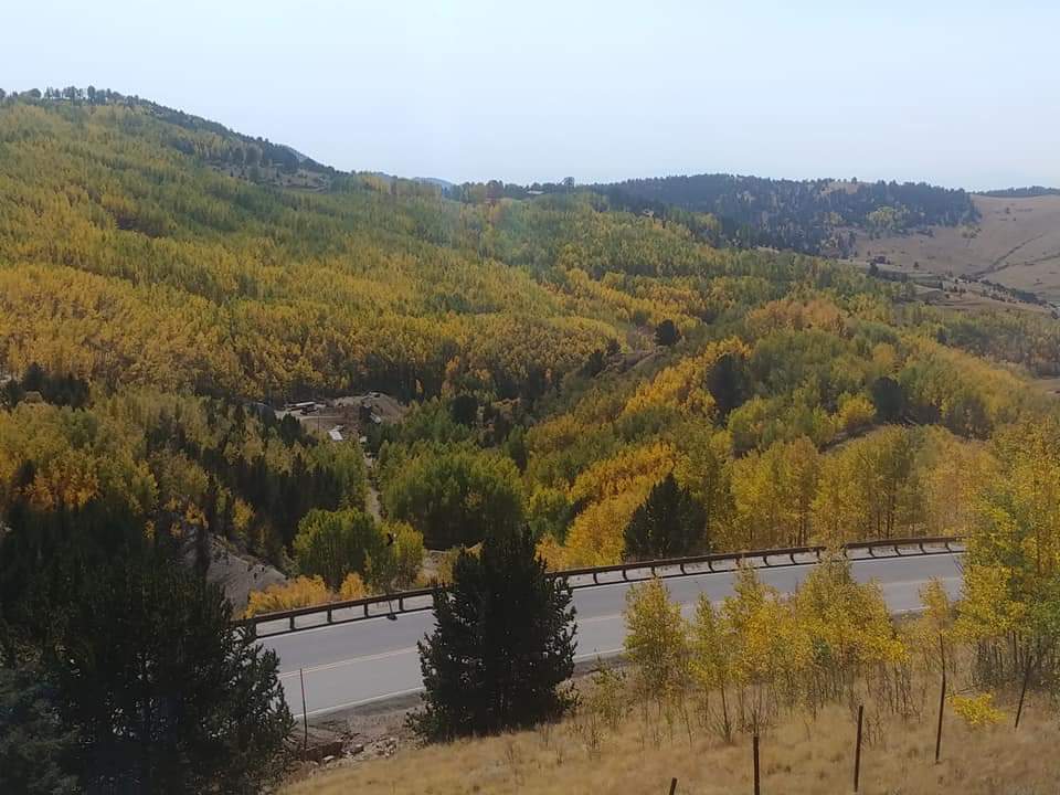 CCDonkeys's tweet photo. The Cripple Creek hillside this afternoon. This weekend we should be close to peak. #fallcolors #Donkeys #aspens https://t.co/XcpoyCW2xM
