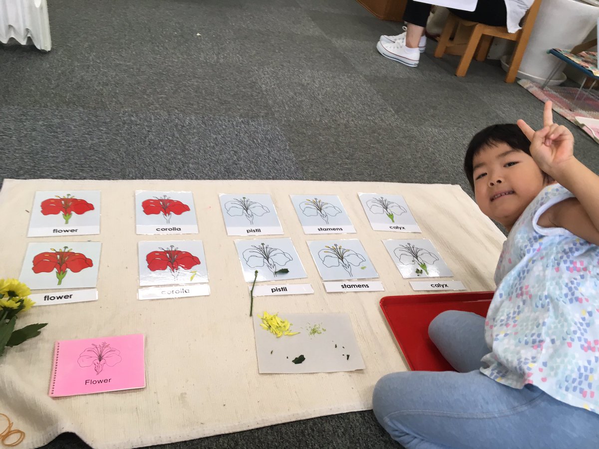 MSTokyoSequoia's tweet photo. Parts of a flower, tree and bird! ๐บ๐ณ๐ฅ
#MSTsunshine #MSTlearning https://t.co/YCgS64VtH7