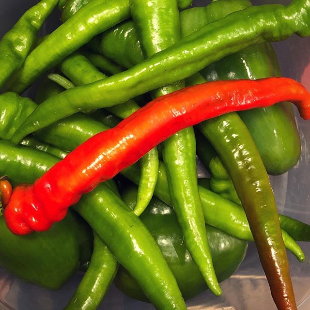 chbamey 🌱 tweet media