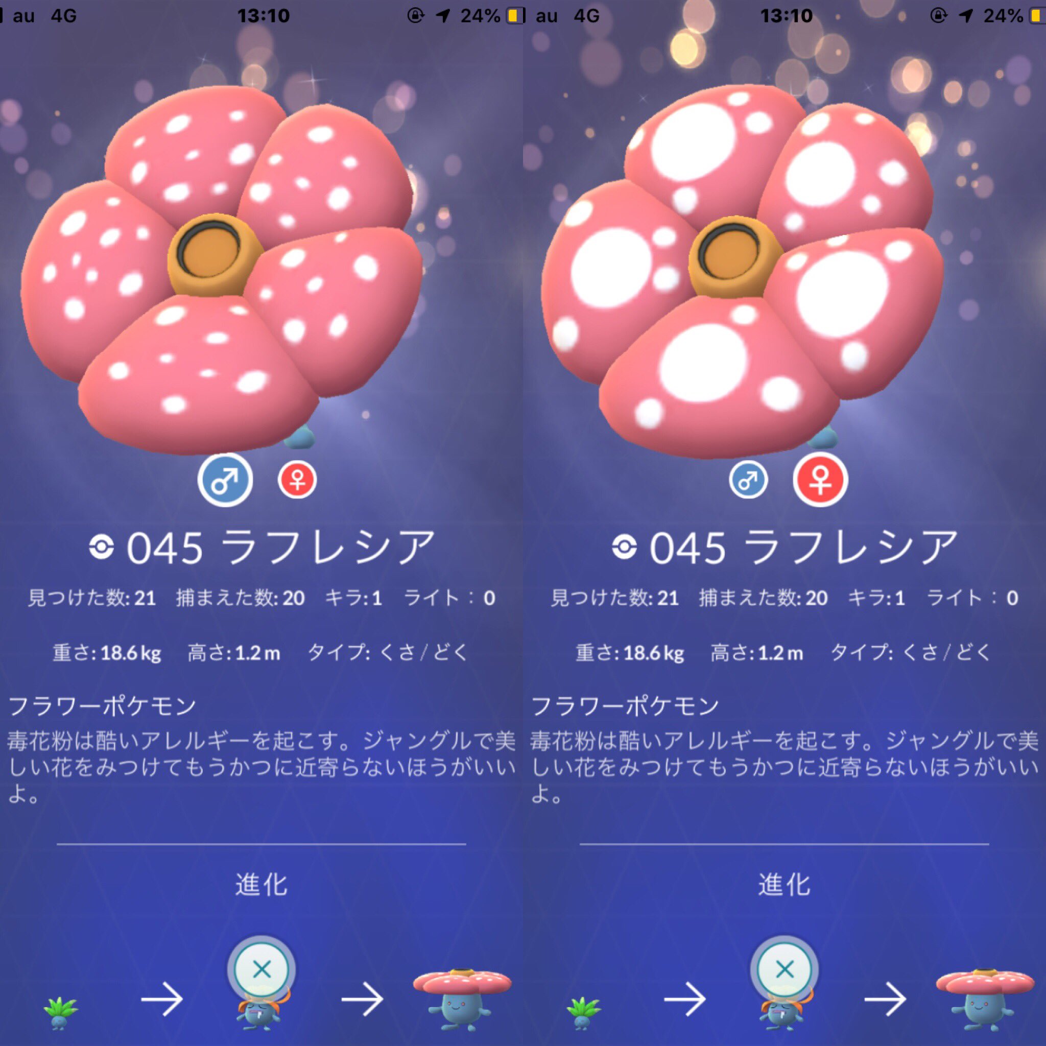 Kenken ラフレシアってオスメス違うんだよなぁ 自分はオス派 Kenken ラフレシアってオスメス違うんだよなぁ 自分はオス派