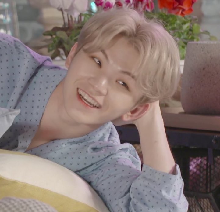 lq woozi (@lowqualitywz) on Twitter photo 