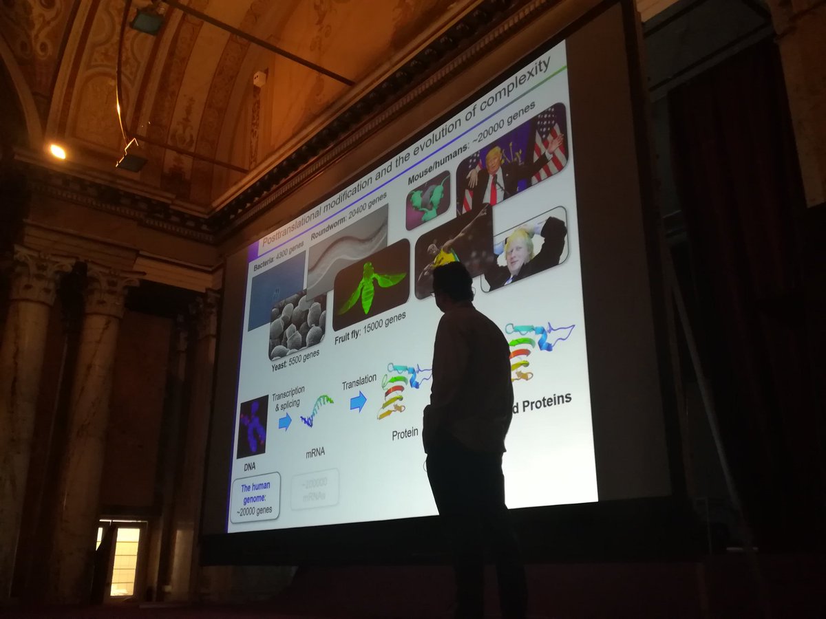 IPS2019 (@ips2019) on Twitter photo Brilliant! Edward Tate (<a href="/TateScience/">Ed Tate</a>, <a href="/TheCrick/">The Francis Crick Institute</a>, <a href="/imperialcollege/">Imperial College London</a>) now speaking on #IPS2019.
Proteonomic protease probes, Pacman and Boris Johnson
Honored to have you. Brilliant! Edward Tate (<a href="/TateScience/">Ed Tate</a>, <a href="/TheCrick/">The Francis Crick Institute</a>, <a href="/imperialcollege/">Imperial College London</a>) now speaking on #IPS2019.
Proteonomic protease probes, Pacman and Boris Johnson
Honored to have you.