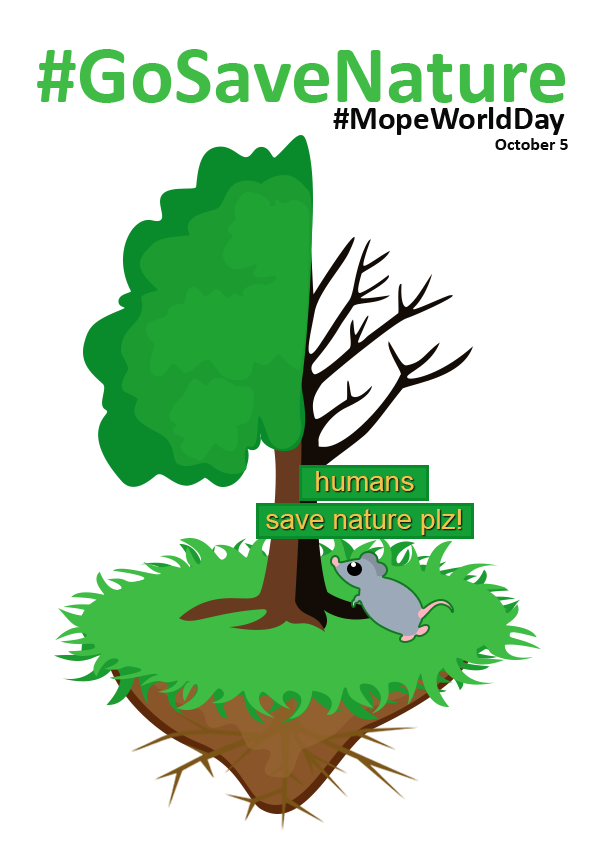 Mopeio Official At Mopeioofficial Twitter