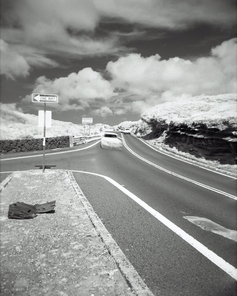 3eyedmonster's tweet photo. A little ingenuity with a simple #holga offers surprising results #infrared #rolleiinfrared #r72filter #believeinfilm https://t.co/S0wG48SMHu